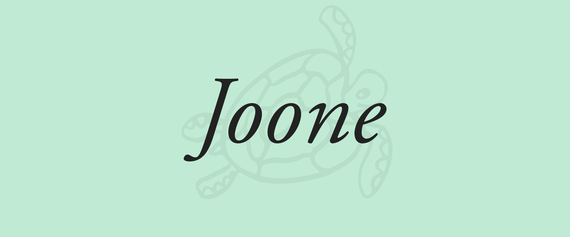 Joone Slider Image